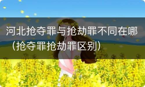 河北抢夺罪与抢劫罪不同在哪（抢夺罪抢劫罪区别）
