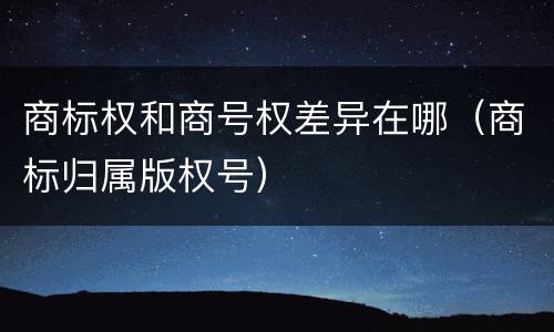商标权和商号权差异在哪（商标归属版权号）