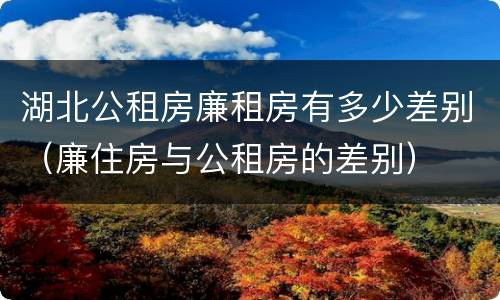 湖北公租房廉租房有多少差别（廉住房与公租房的差别）