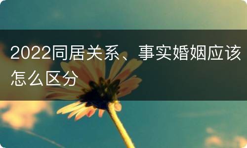 2022同居关系、事实婚姻应该怎么区分