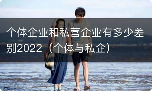 个体企业和私营企业有多少差别2022（个体与私企）