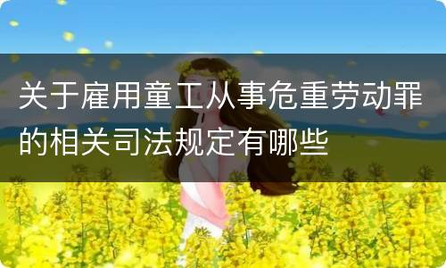 关于雇用童工从事危重劳动罪的相关司法规定有哪些