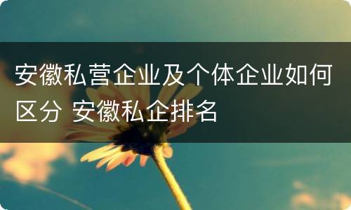 安徽私营企业及个体企业如何区分 安徽私企排名