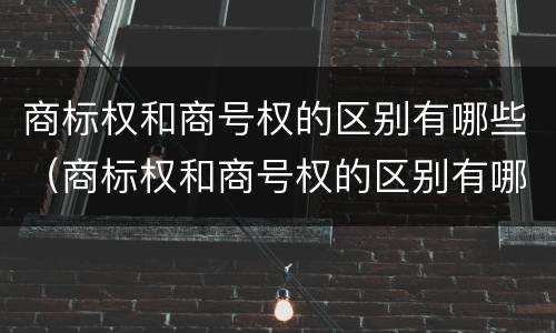 商标权和商号权的区别有哪些（商标权和商号权的区别有哪些内容）