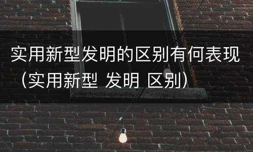 实用新型发明的区别有何表现（实用新型 发明 区别）
