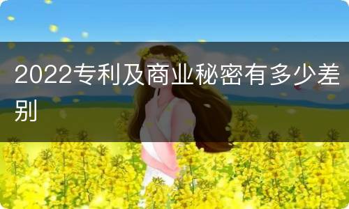 2022专利及商业秘密有多少差别
