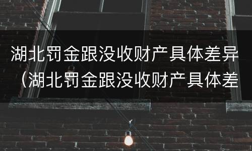 湖北罚金跟没收财产具体差异（湖北罚金跟没收财产具体差异多少）
