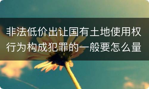 非法低价出让国有土地使用权行为构成犯罪的一般要怎么量刑