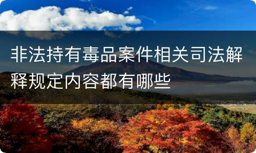 非法持有毒品案件相关司法解释规定内容都有哪些