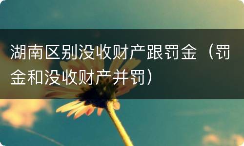 湖南区别没收财产跟罚金（罚金和没收财产并罚）