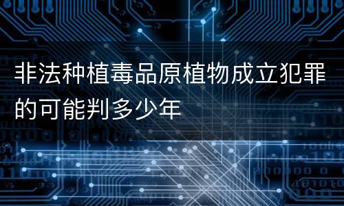 非法种植毒品原植物成立犯罪的可能判多少年