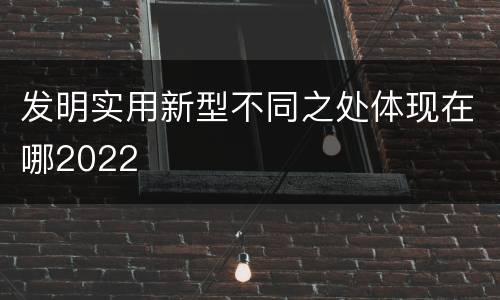 发明实用新型不同之处体现在哪2022
