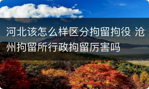 河北该怎么样区分拘留拘役 沧州拘留所行政拘留厉害吗