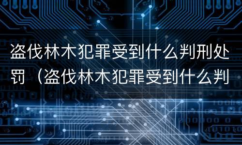 盗伐林木犯罪受到什么判刑处罚（盗伐林木犯罪受到什么判刑处罚案例）