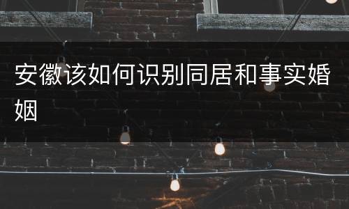 安徽该如何识别同居和事实婚姻