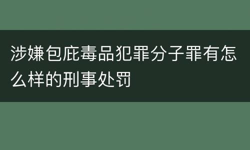 涉嫌包庇毒品犯罪分子罪有怎么样的刑事处罚