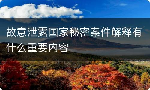 故意泄露国家秘密案件解释有什么重要内容