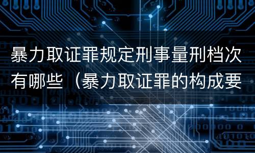 暴力取证罪规定刑事量刑档次有哪些（暴力取证罪的构成要件）