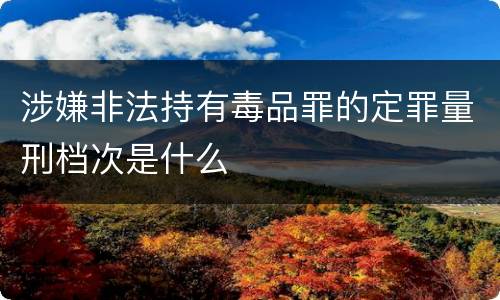 涉嫌非法持有毒品罪的定罪量刑档次是什么