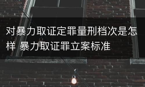 对暴力取证定罪量刑档次是怎样 暴力取证罪立案标准