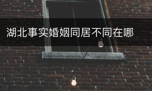 湖北事实婚姻同居不同在哪