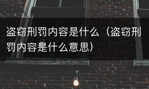 盗窃刑罚内容是什么（盗窃刑罚内容是什么意思）