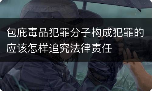 包庇毒品犯罪分子构成犯罪的应该怎样追究法律责任