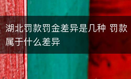 湖北罚款罚金差异是几种 罚款属于什么差异