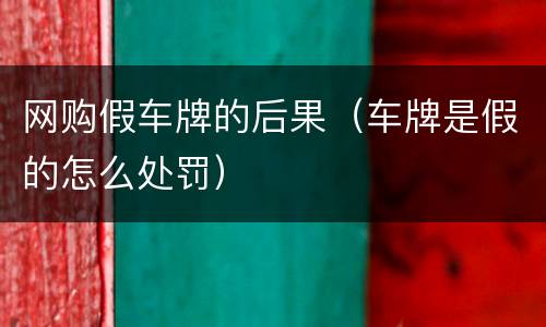 网购假车牌的后果（车牌是假的怎么处罚）