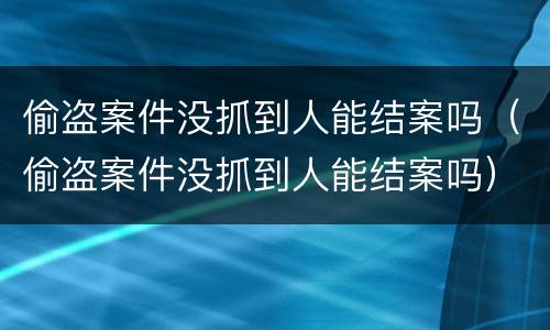偷盗案件没抓到人能结案吗（偷盗案件没抓到人能结案吗）