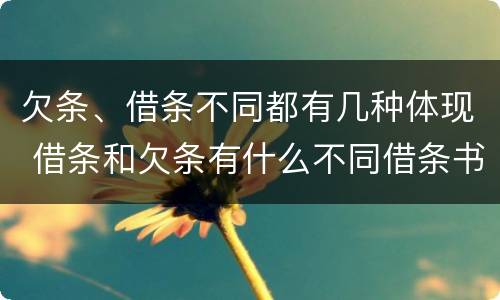 欠条、借条不同都有几种体现 借条和欠条有什么不同借条书写