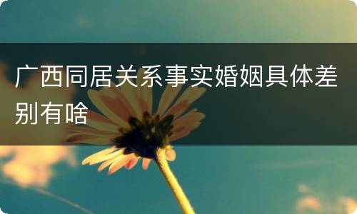 广西同居关系事实婚姻具体差别有啥