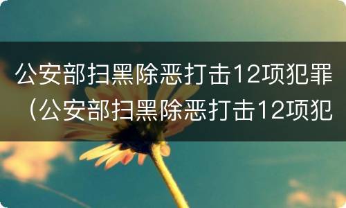公安部扫黑除恶打击12项犯罪（公安部扫黑除恶打击12项犯罪行为）