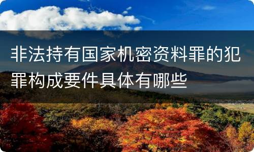 非法持有国家机密资料罪的犯罪构成要件具体有哪些