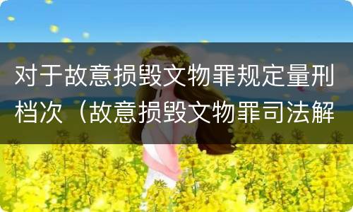 对于故意损毁文物罪规定量刑档次（故意损毁文物罪司法解释）