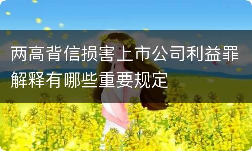 两高背信损害上市公司利益罪解释有哪些重要规定