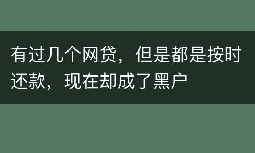 有过几个网贷，但是都是按时还款，现在却成了黑户