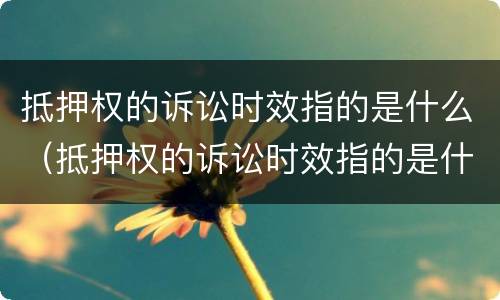 抵押权的诉讼时效指的是什么（抵押权的诉讼时效指的是什么意思）