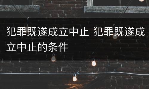 犯罪既遂成立中止 犯罪既遂成立中止的条件