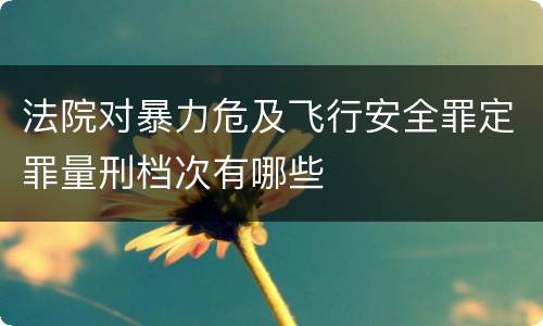 法院对暴力危及飞行安全罪定罪量刑档次有哪些
