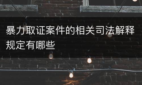 暴力取证案件的相关司法解释规定有哪些