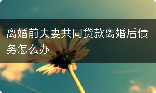 离婚前夫妻共同贷款离婚后债务怎么办
