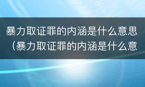 暴力取证罪的内涵是什么意思（暴力取证罪的内涵是什么意思啊）