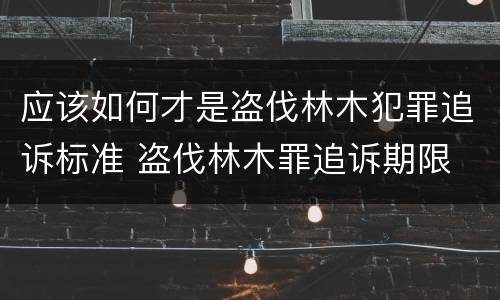 应该如何才是盗伐林木犯罪追诉标准 盗伐林木罪追诉期限
