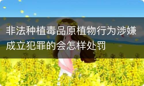 非法种植毒品原植物行为涉嫌成立犯罪的会怎样处罚