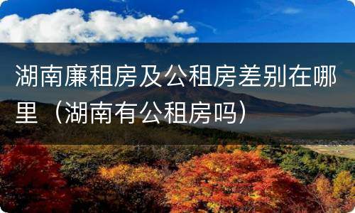 湖南廉租房及公租房差别在哪里（湖南有公租房吗）