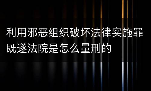 利用邪恶组织破坏法律实施罪既遂法院是怎么量刑的