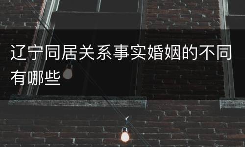 辽宁同居关系事实婚姻的不同有哪些