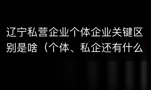 辽宁私营企业个体企业关键区别是啥（个体、私企还有什么性质）