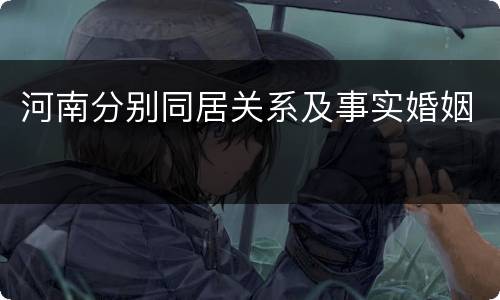 河南分别同居关系及事实婚姻